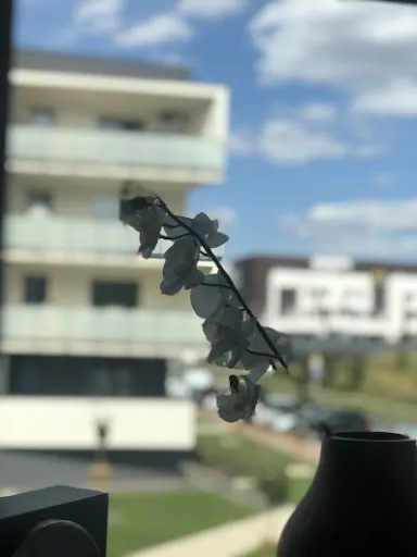 dr Kornelia Hübscher, Psychoterapeuta